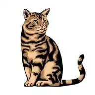 Endcatspray WhatsApp Channel