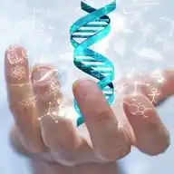 Evolución Vs Creación. WhatsApp Channel
