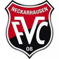 FC Viktoria 08 Neckarhausen WhatsApp Channel