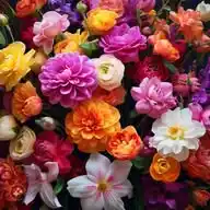 🌸🌼🌹Flowers From Sharon🌹🌼🌸 WhatsApp Channel