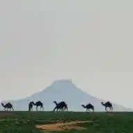 مجرد صورة WhatsApp Channel