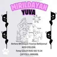 Mırıldayan Yuva Kedi Oteli WhatsApp Channel