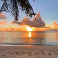 Natural solution  WhatsApp Channel