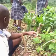 New Wonderland Junior School Maya WhatsApp Channel