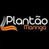 PLANTÃO MARINGÁ  - THEDDY WhatsApp Channel