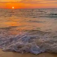 Random WhatsApp Channel