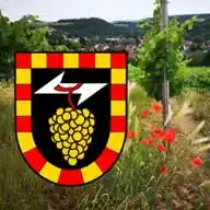 Schweppenhausen WhatsApp Channel