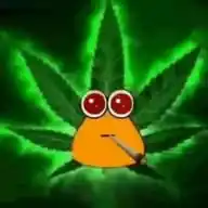 Simpson Gamer WhatsApp Channel