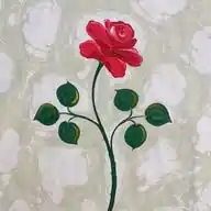 Sokak Lambası WhatsApp Channel