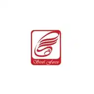 Steel Force WhatsApp Channel