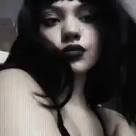 wolfys WhatsApp Channel