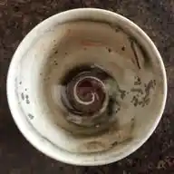 🅰's 👧🏻☕ WhatsApp Channel