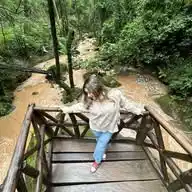 aleee🐢 WhatsApp Channel