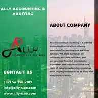 Ally Accounting & Auditing WhatsApp Channel