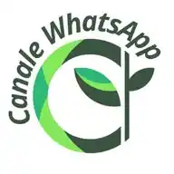 AMBER'S PLACE ECOBIONATURAL WhatsApp Channel