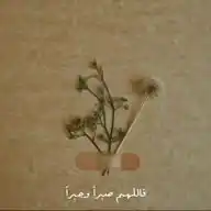 Basayir|بصائر💚 WhatsApp Channel