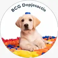 BCG Dopjesactie WhatsApp Channel