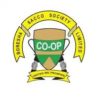 BORESHA DT SACCO WhatsApp Channel