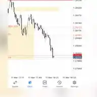 Bos Capital.  WhatsApp Channel