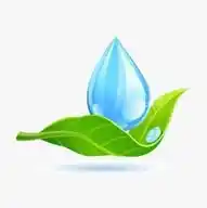 CCE WhatsApp Channel