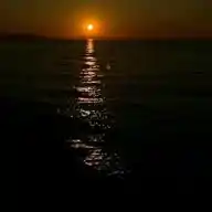 Feel Free WhatsApp Channel