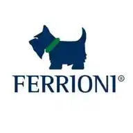Ferrioni Mx WhatsApp Channel