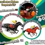 HIPISMO VERGATARIO VIP WhatsApp Channel