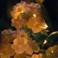 Kelimelerin Dansı WhatsApp Channel