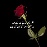 𝓟𝓸𝓮𝓽𝓻𝔂 & 𝓒𝓪𝓹𝓽𝓲𝓸𝓷𝓼 🫀 WhatsApp Channel