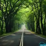 Rehoboth Channel WhatsApp Channel