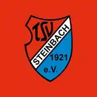 TSV Steinbach Haiger WhatsApp Channel