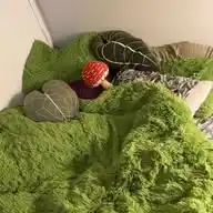 𝐕𝐢𝐋𝐄𝐍𝐈𝐕𝐄 🥦 WhatsApp Channel