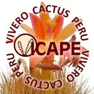 Vivero Cactus Peru WhatsApp Channel