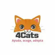 4cats Valencia WhatsApp Channel