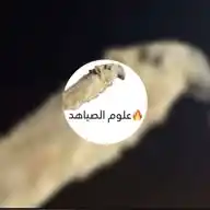علوم الصياهد 🏆🔥🎖️ WhatsApp Channel