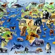 Amici animali 🐾 / GoVegan 🌱 WhatsApp Channel
