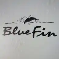 Blue Fin Tauchen WhatsApp Channel