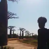 Filming In Madagascar WhatsApp Channel
