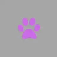 Hundeschule Bochum bellt WhatsApp Channel