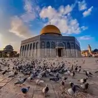 لا يَألفنَّ أحدُكم مُصْابَ أخيْه وإنْ طَال WhatsApp Channel