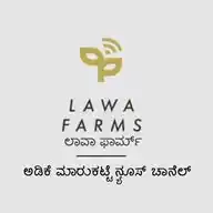 ಲಾವಾ ಫಾರ್ಮ್ - ಅಡಿಕೆ ಮಾರುಕಟ್ಟೆ ನ್ಯೂಸ್ ಚಾನೆಲ್ (Areca Nut News Channel) WhatsApp Channel