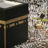 𝙇𝙀 𝙍𝘼𝙋𝙋𝙀𝙇 𝙋𝙍𝙊𝙁𝙄𝙏𝙀 𝘼𝙐𝙓 𝘾𝙍𝙊𝙔𝘼𝙉𝙏𝙎 WhatsApp Channel