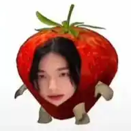 maryKONA WhatsApp Channel