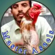 Master Aseels WhatsApp Channel