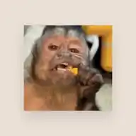Memes Worldwide 😎 WhatsApp Channel