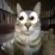 Memes Y Demás De Un Gato🐱🚬 WhatsApp Channel