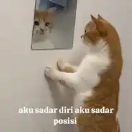 naassschieve WhatsApp Channel