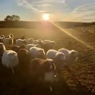Naturerlebnishof Kartsteinhöhe WhatsApp Channel