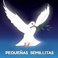 "PEQUEÑAS SEMILLITAS" WhatsApp Channel