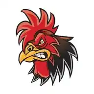 Piel De Gallo WhatsApp Channel